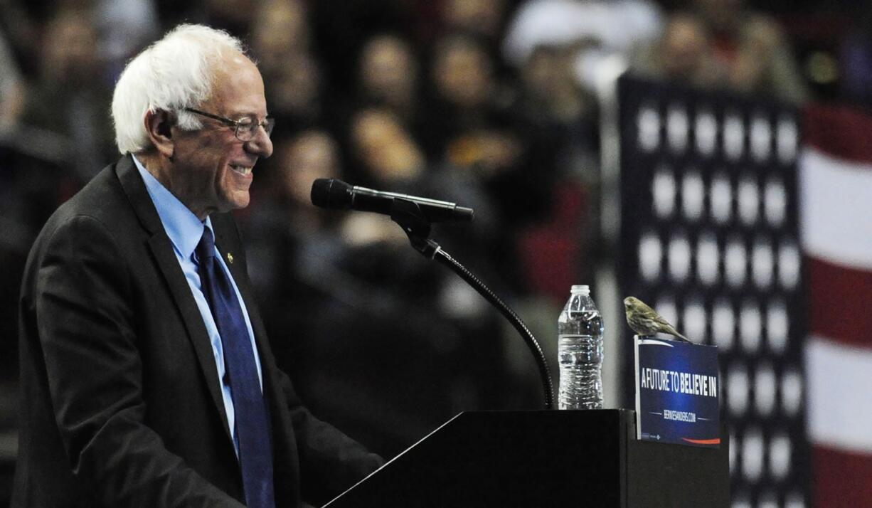 Democratic presidential candidate Bernie Sanders smiles as a bird lands on his podium when he addresses the crowd during a rally March 25 at the Moda Center in Portland.