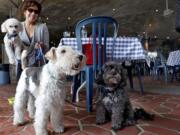 Michelle Vargas, with, from left, 8-year-old bichon frise-poodle mix Carmine, 11-year-old wire-haired terrier Lucy and 10-year-old shih tzu-poodle mix Luigi, visit a cafe in a Manhattan park on New York&#039;s Upper West Side.