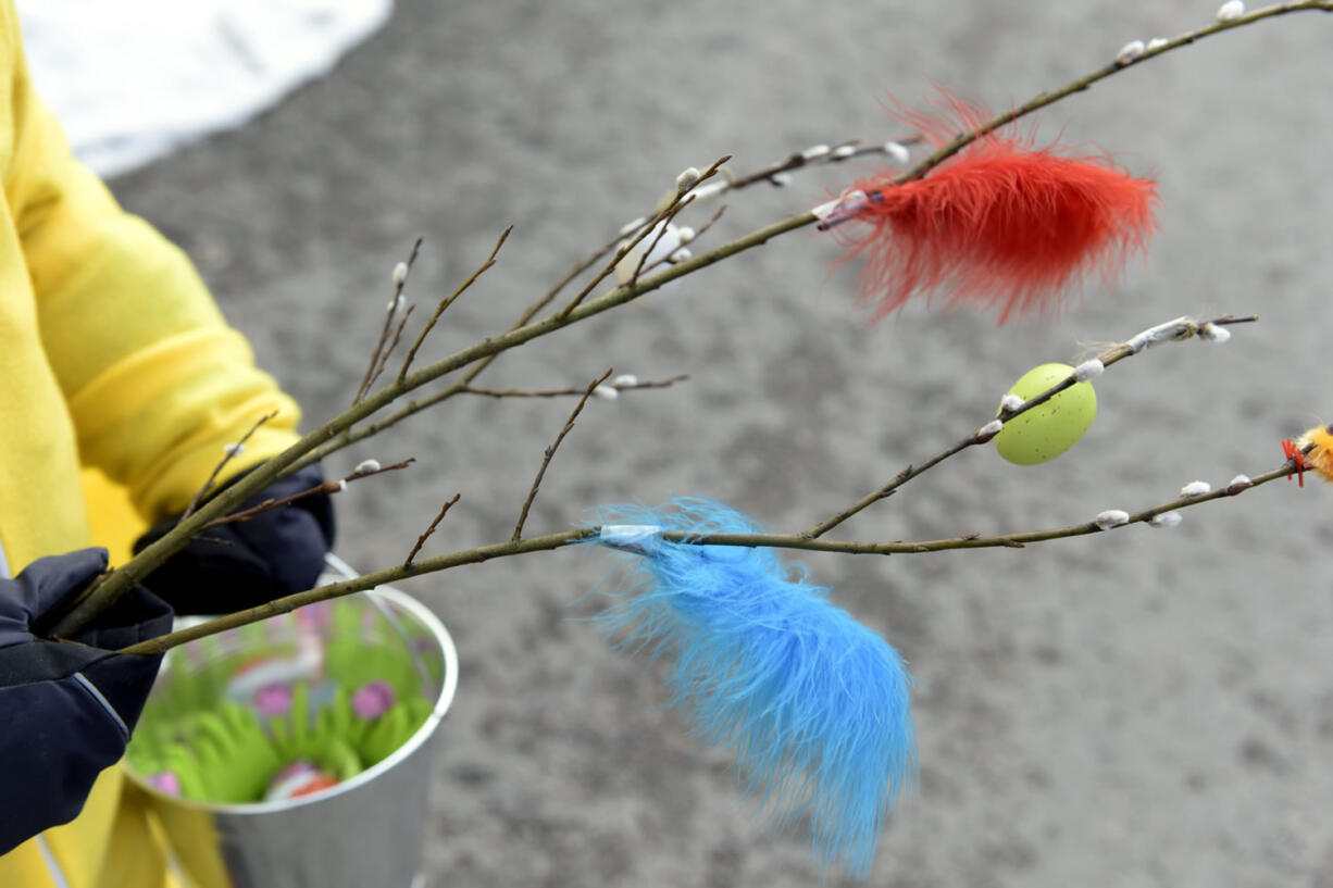 A girl holds a fancy catkin branch on Palm Sunday.