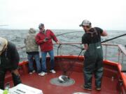 Deckhand Donald Pitts nets a salmon for a charter boat customer in 2014 in the Pacific Ocean off Ilwaco.