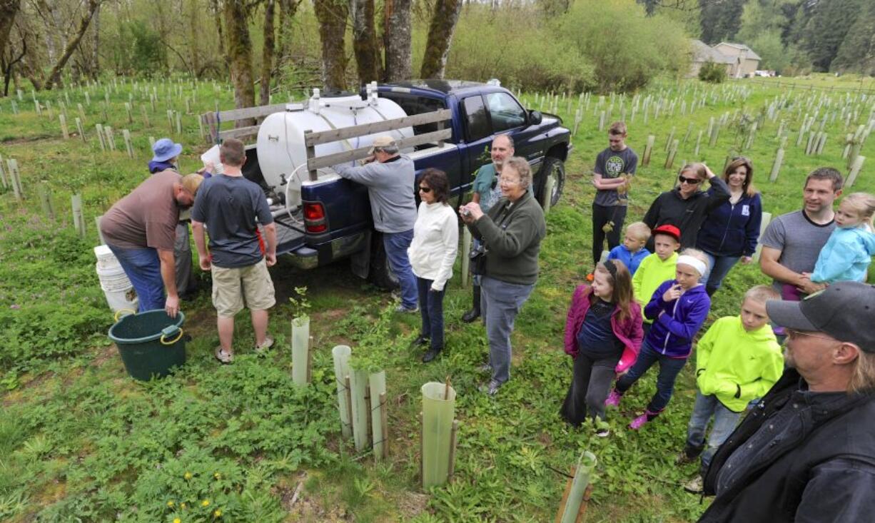 Volunteers and members of Northwest Wild Fish Rescue prepare Saturday to release young coho salmon into Salmon Creek near Battle Ground.