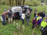 Volunteers and members of Northwest Wild Fish Rescue prepare Saturday to release young coho salmon into Salmon Creek near Battle Ground.