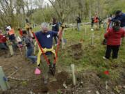 Volunteer Jon Gibert digs a hole during an Earth Day event at Salmon Creek Regional Park in 2013.