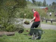 VSAA junior Benjamin Kuppler, 17, joins classmates in weeding a lilac bed on Wednesday morning at Silver Buckle Horse Ranch in Brush Prairie. The volunteer project was part of the school&#039;s annual Day of Caring.