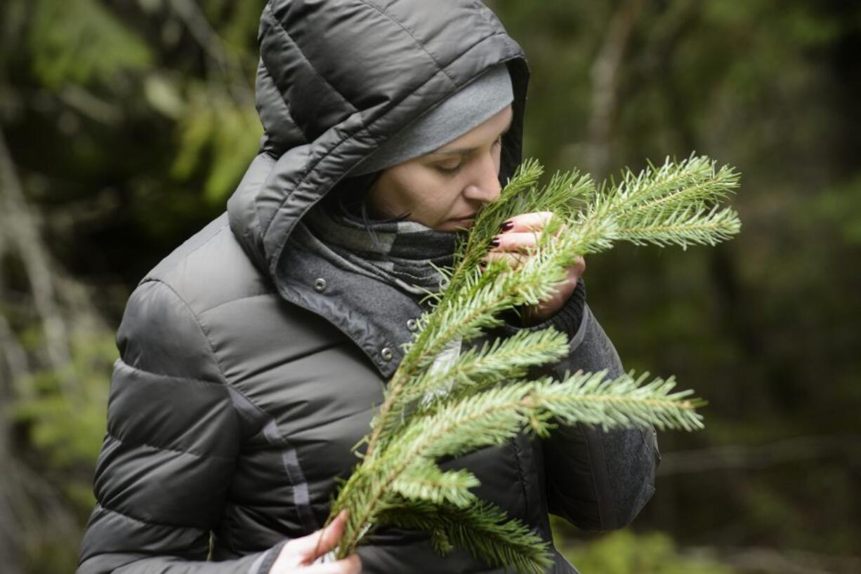 Tetiana Troshyna of Ukraine takes a moment to feel and smell a branch Thursday in the Gifford Pinchot National Forest. Troshyna  visited the U.S. on trip organized by the U.S. Forest Service and FORZA, a Ukrainian organization aimed at promoting sustainable forestry in that country.