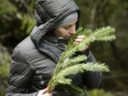 Tetiana Troshyna of Ukraine takes a moment to feel and smell a branch Thursday in the Gifford Pinchot National Forest. Troshyna  visited the U.S. on trip organized by the U.S. Forest Service and FORZA, a Ukrainian organization aimed at promoting sustainable forestry in that country.