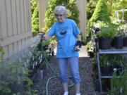 Alma Ladd, Plant Fair Organizer and museum "plant lady&quot; gets ready for the Camas-Washougal Historical Society Plant Sale May 14 and June 5, 2016 at the Two Rivers Heritage Museum in Washougal.