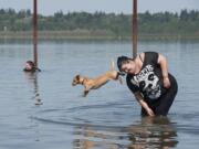 Yakima Valley resident Sara Ortiz serves as a diving platform for Stash, 9 months, Monday afternoon at Vancouver Lake.