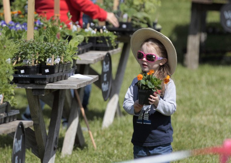 Elizabeth Asher, 3, of Vancouver, selects flower starts for her family&#039;s garden at the Pomeroy Farm Country Life Fair.