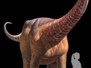 This artists&#039; rendering shows a titanosaur and a hatchling titanosaur in relation to a human. Tiny titanosaur babies weighed about as much as average human babies, 6 to 8 pounds. (K. curry rogers, m. whitney, M. d&#039;emic, B.