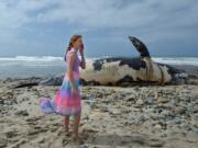 A girl calls to her mom as she stands near a dead whale on the shore Monday morning, April 25, 2016, on the cobblestone beach at Lower Trestles on San Onofre State Beach, just south of San Clemente, Calif. (Jeff Gritchen/The Orange County Register via AP)  MAGAZINES OUT; LOS ANGELES TIMES OUT; MANDATORY CREDIT   LA TIMES OUT, MAGS OUT.