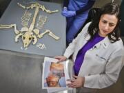 Dr. Laura Niestat, one of three veterinarians with the American Society for the Prevention of Cruelty to Animals forensic unit, holds photo evidence of a dog missing layers of skin from a tight collar Thursday in New York. The New York based ASPCA unit works with the New York Police Department to capture evidence and punish animal abusers.