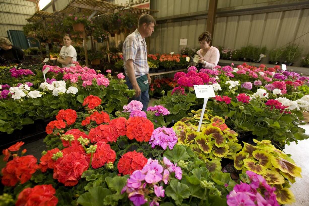 The Clark Public Utilities Home &amp; Garden Idea Fair is today and Sunday at the Clark County Event Center at the Fairgrounds.