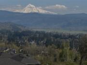 High-voltage power lines, right, are seen in April from a Camas residence. BPA has made a public request for offers on products or methods that could help reduce the congestion in its electrical transmission lines in Southwest Washington and Northwest Oregon.