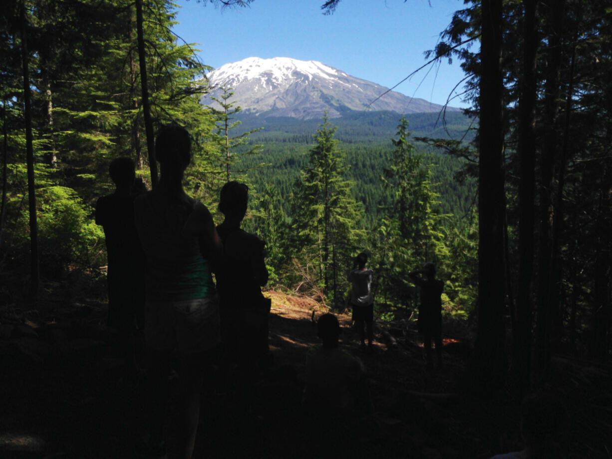 A series of tiny earthquakes under Mount St. Helens -- none bigger than magnitude 1.3 -- do not indicate that the volcano is likely to erupt, scientists say.