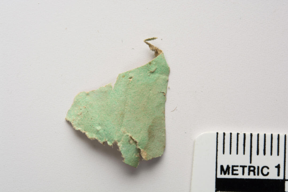 A fragment of 18th-century wallpaper found under the floorboards of a bedroom at Mount Vernon. This green verditer pigment was used as the background color of the reproduction wallpaper hung in the current restoration.