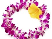 May Day is considered Lei Day in Hawaii, and the Ke Kukui Foundation will host its annual celebration of arts and crafts.