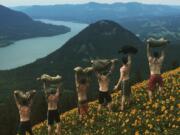 From left, amid the balsamroot atop Dog Mountain: Fletcher Quade, Ryan Hite, Joey Rojan, Aaron Sieczkowski, Luke Galeotti, Michael Galeotti.