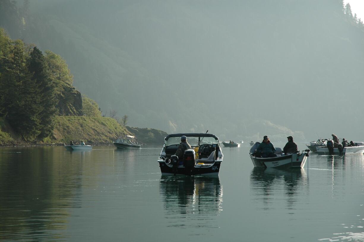 The first two weeks of May typically provide the peak of the spring chinook catch at Drano Lake.