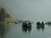 The first two weeks of May typically provide the peak of the spring chinook catch at Drano Lake.