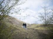 Hikers walk Hummocks trail No. 229 near Coldwater Lake on the north side of Mount St. Helens.