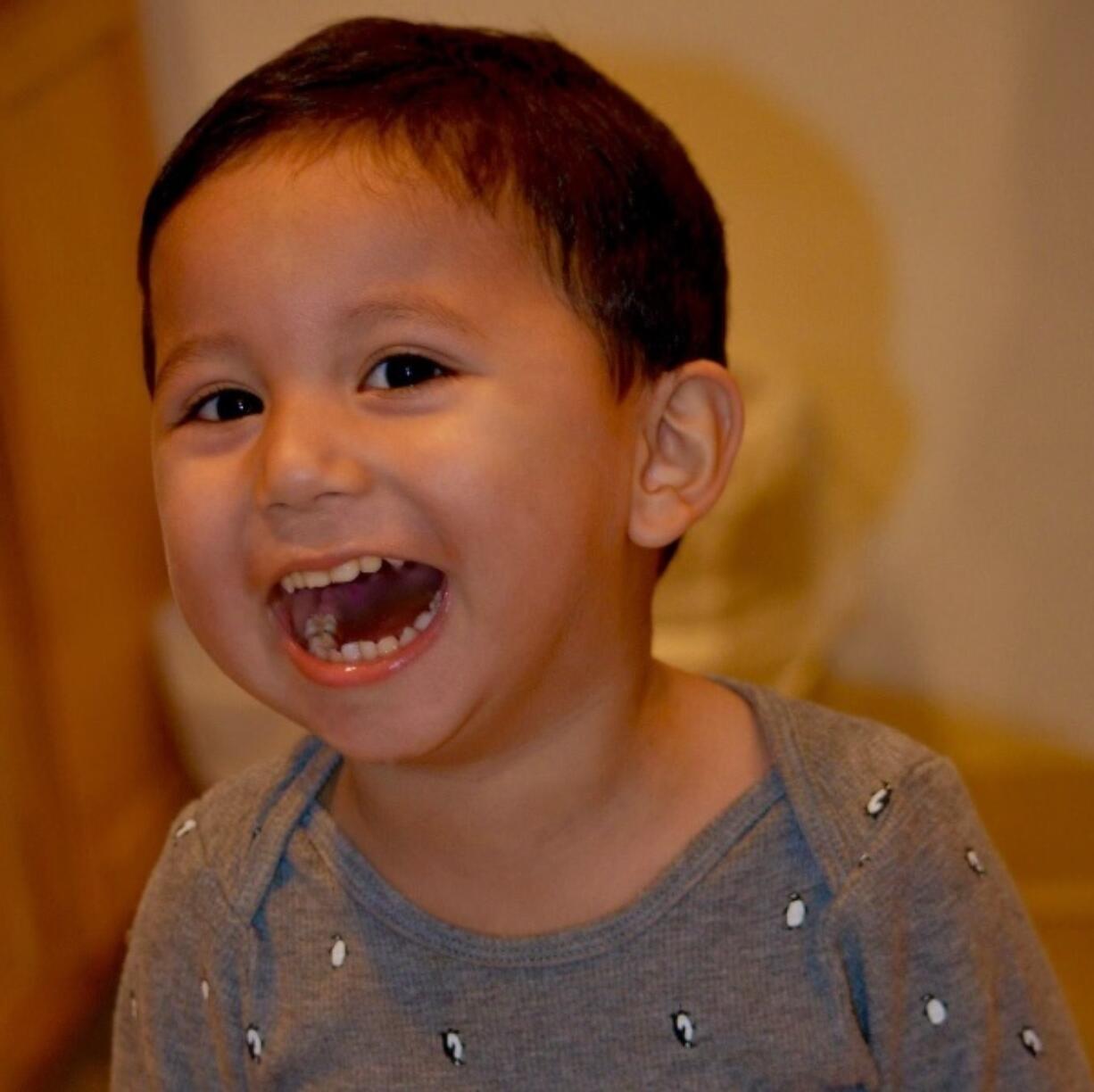 Jose "Pepe" Castillo Cisneros, 3, of Battle Ground was killed Monday.