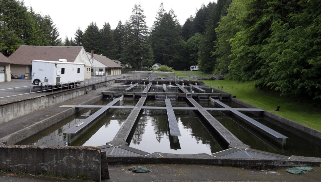 The Oxbow fish hatchery, which is fed by Little Herman Creek springwater, is in Cascade Locks, Ore.