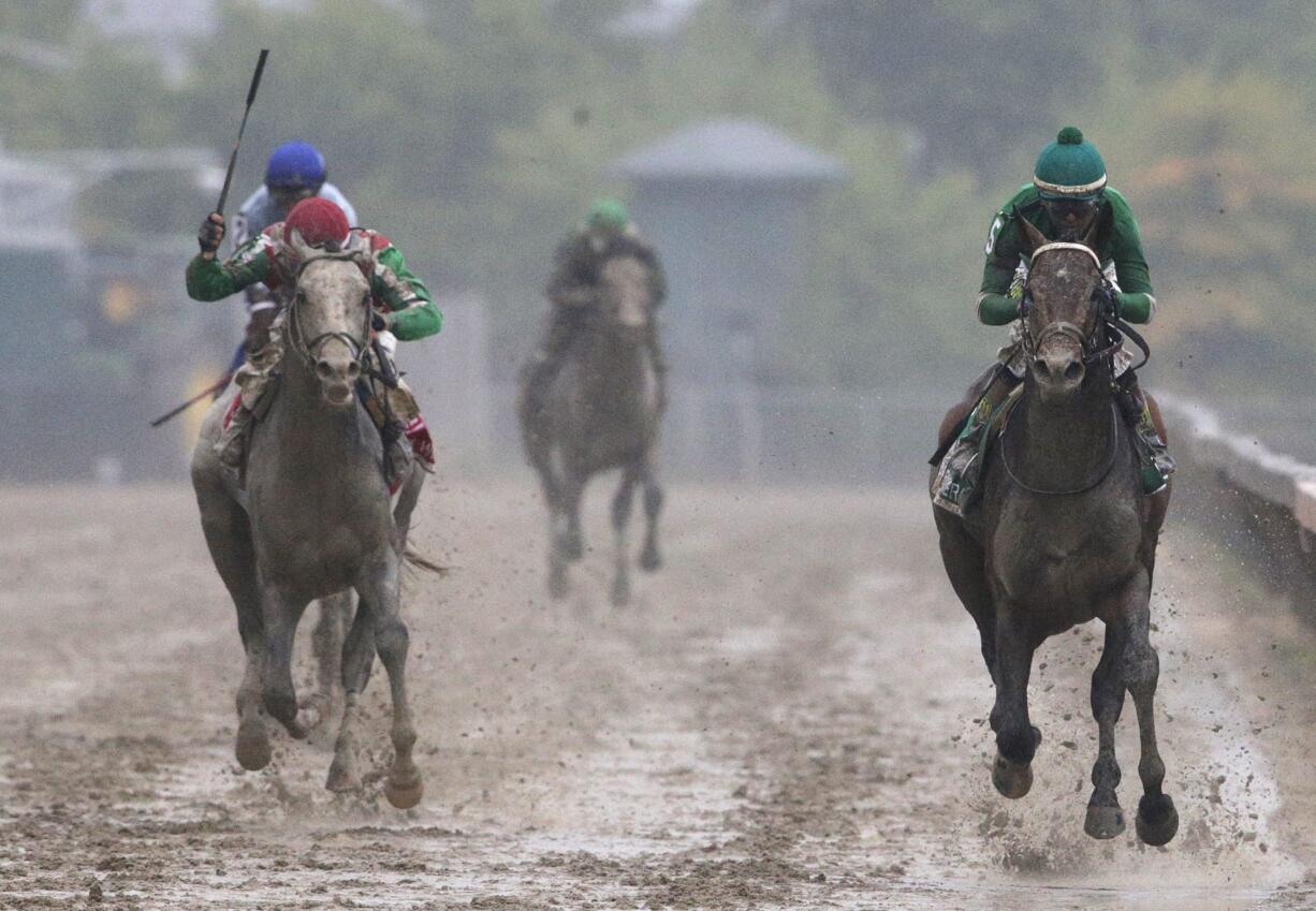 Exaggerator, right, with Kent Desormeaux aboard wins the 141st Preakness Stakes horse race at Pimlico Race Course, Saturday, May 21, 2016, in Baltimore. Cherry Wine, left, with Corey Lanerie aboard places second.