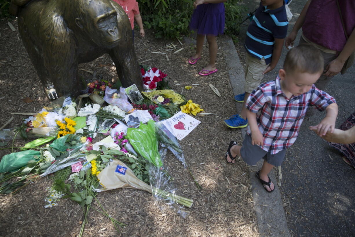 A boy is led away after putting flowers beside a statue of a gorilla outside the shuttered Gorilla World exhibit at the Cincinnati Zoo &amp; Botanical Garden on Monday in Cincinnati. A gorilla named Harambe was killed by a special zoo response team on Saturday after a 4-year-old boy slipped into an exhibit and it was concluded his life was in danger.