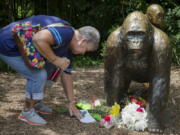 Eula Ray, of Hamilton, whose son is a curator for the zoo, touches a sympathy card beside a gorilla statue outside the Gorilla World exhibit at the Cincinnati Zoo &amp; Botanical Garden on Sunday,  in Cincinnati.