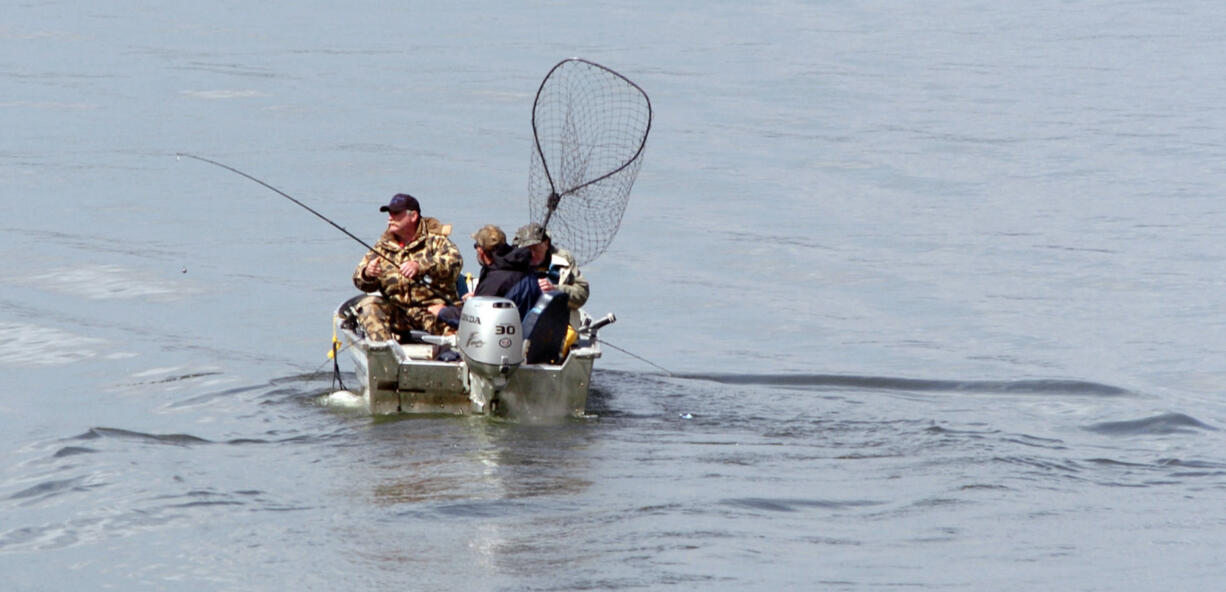 Spring chinook salmon fishing will reopen Friday, Saturday and Sunday in the Columbia River from the mouth to the Washington-Oregon state line, east of Umatilla, Ore.