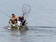 Spring chinook salmon fishing will reopen Friday, Saturday and Sunday in the Columbia River from the mouth to the Washington-Oregon state line, east of Umatilla, Ore.