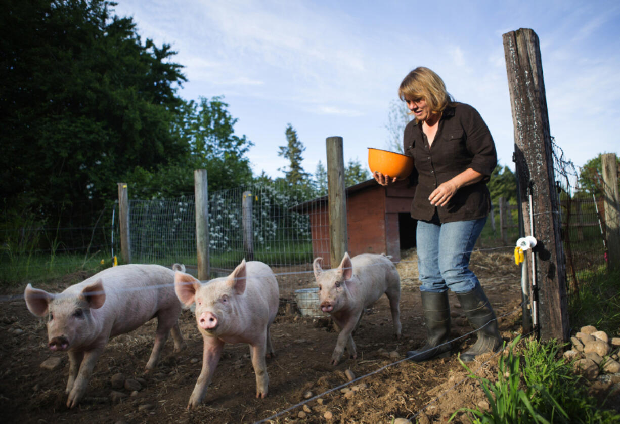 Melissa Tatro feeds her three pigs at her small farm in Kent on May 12. Keeping the farm, which she and her former husband purchased in 2014, could jeopardize her ability to save for retirement. The dilemma convinced her to seek financial advice.