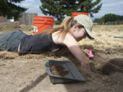 Washington State University Vancouver student Tamara Uldell reaches into an excavation during the 2015 summer archaeological dig at the site of the World War I Spruce Mill.