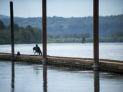 A visitor enjoys a cool breeze on a jetty over the Columbia River in Washougal on Friday.