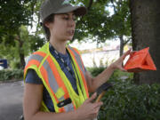 Jennifer Berg of the Washington State Department of Agriculture sets traps in Waterfront Park in Vancouver.