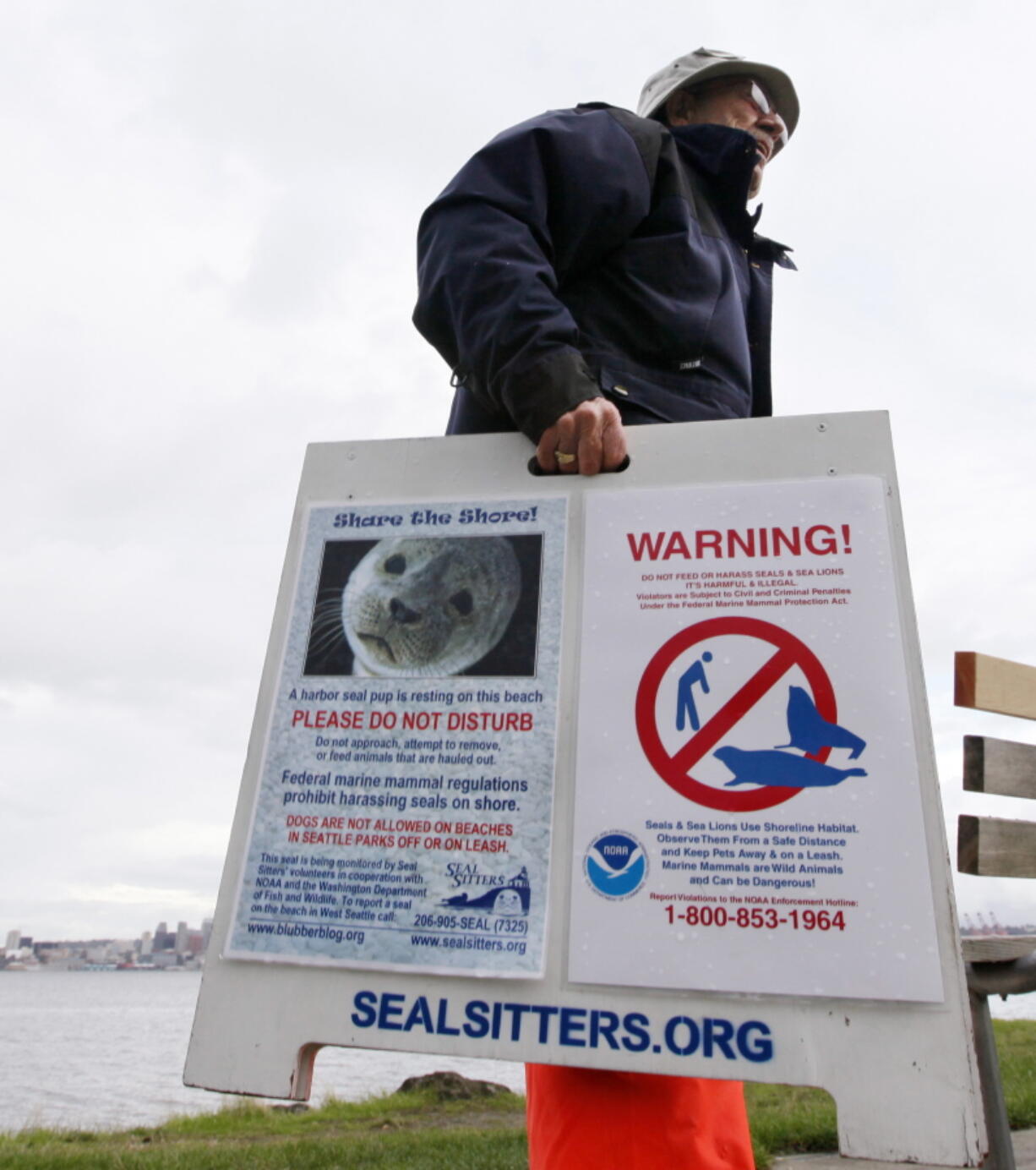 Ralph Heitt picks up a &quot;Seal Sitters&quot; sign after the harbor seal pup he and other volunteers had been watching during his rest period returned to the water in Seattle. As harbor seals are being born in the Pacific Northwest this time of year, marine mammal advocates are urging people not to touch or pick up pups that come up on beaches and shorelines to rest.