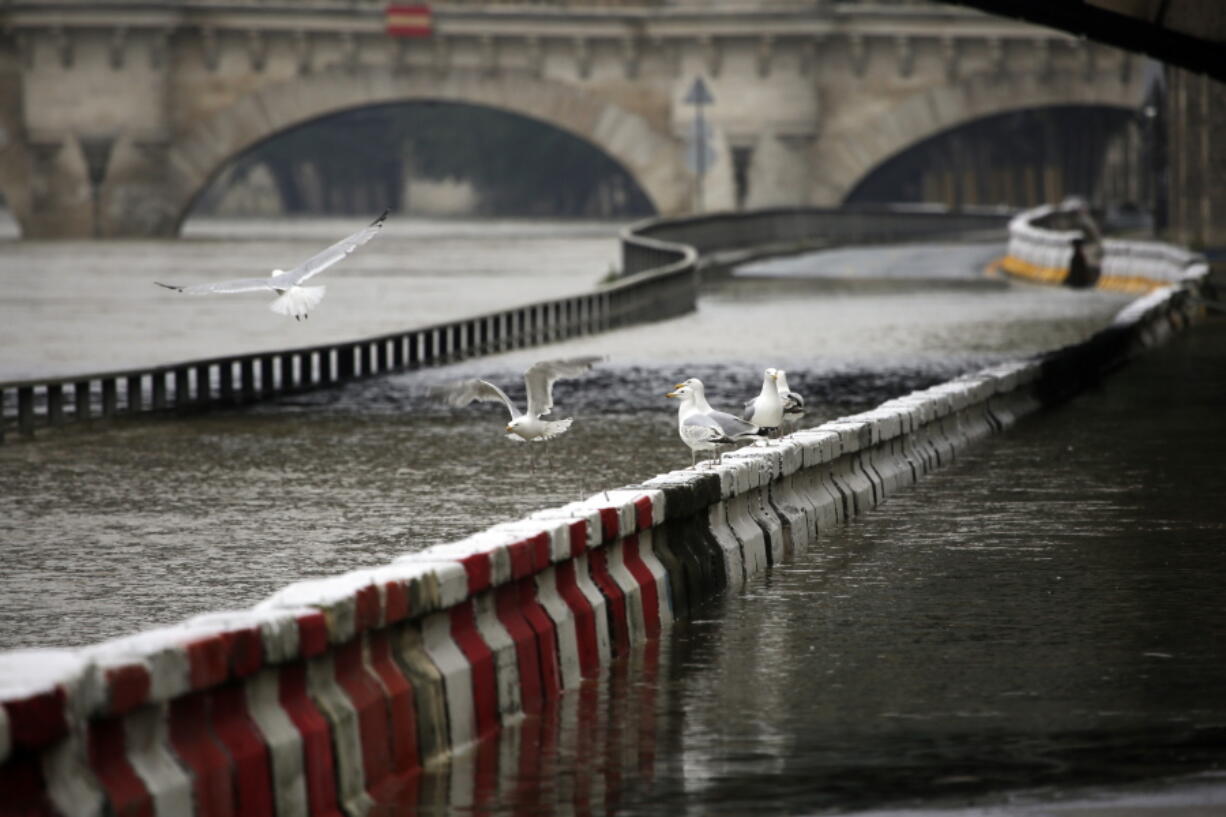 Birds fly over a flooded highway along the river Seine in Paris on Wednesday.