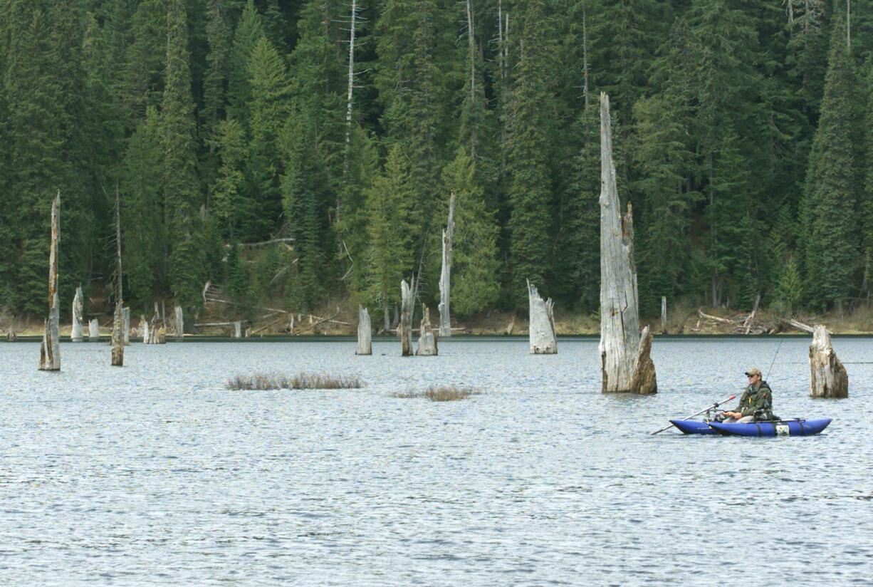 Goose Lake  in the southern Gifford Pinchot National Forest was stocked last week with 2,500 rainbow trout.