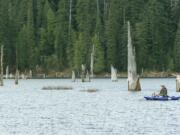 Goose Lake  in the southern Gifford Pinchot National Forest was stocked last week with 2,500 rainbow trout.