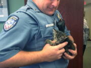 Officer Shenandoah Jones holds a kitten that was found Tuesday on the Lake Pontchartrain Causeway Bridge about a half-mile out on the northbound span from Metairie.