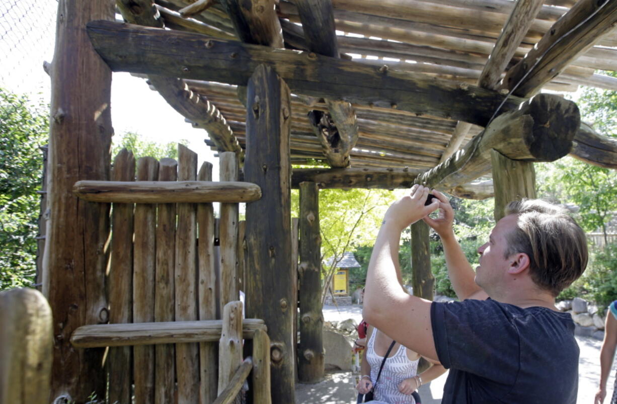 Sander Jones of London, England, photographs the high outdoor ledge where a leopard was found sleeping outside its exhibit Tuesday at the Hogle Zoo in Salt Lake City.