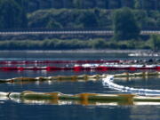 Booms set up in the Columbia River are seen June 4. The booms are meant to contain any oil that may seep into the river from a Union Pacific oil train that derailed near Mosier, Ore., on Friday.