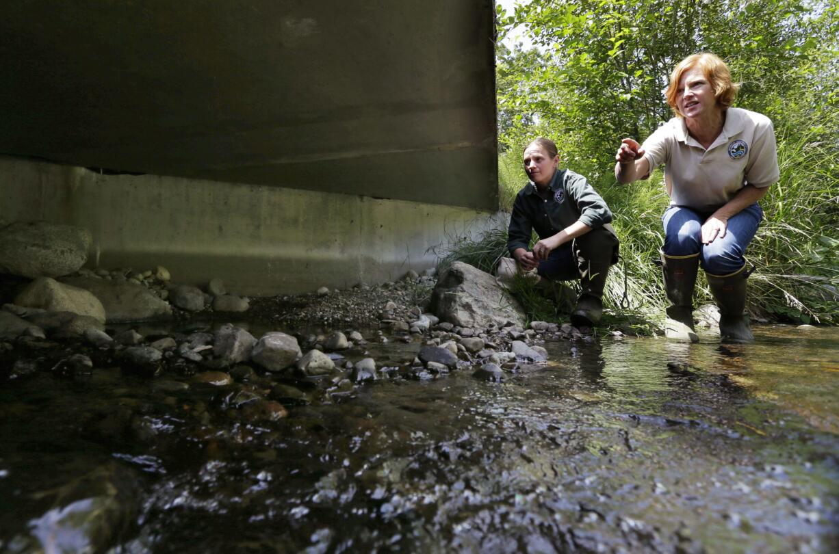 FILE - In this June 22, 2015, file photo, Julie Henning, right, division manager of the Washington Dept. of Fish and Wildlife ecosystem services division habitat program, and Melissa Erkel, left, a fish passage biologist, look at a wide passageway for the north fork of Newaukum Creek near Enumclaw, Wash. Federal appeals judges say the state of Washington has violated the treaty rights of tribes to fish by building and maintaining large pipes that allow streams to pass beneath roads but also block migrating salmon. (AP Photo/Ted S.