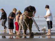 Diggers on the Long Beach Peninsula are allowed 25 clams per person through Monday.