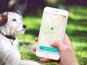 You can summon someone to clean up after your dog with one-tap using the app Pooper.