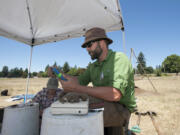 James Ficek, Washington State University Vancouver senior, weighs and measures fire-cracked rock Wednesday while working with Portland State University senior Paula Hale at Fort Vancouver National Historic Site.