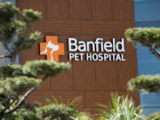 Employment in Clark County increased in June, with nonfarm employment rising by 1,100 jobs. The number reflects Banfield Pet Hospital's moving its headquarters — and 650 employees — from Portland to Vancouver.