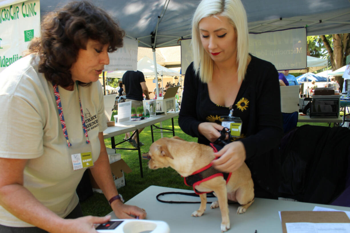 Furry Friends volunteers Sandy Bush, left, and Tess Ewart with a dog at the Recycled Arts Festival, where the no-kill cat shelter had kittens up for adoption and offered discounted microchips.