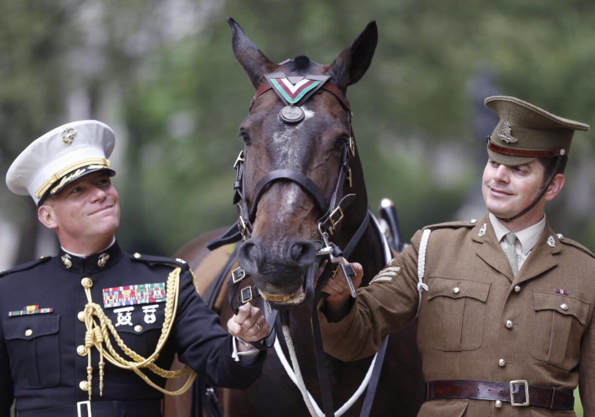 Haldalgo, representing life-saving U.S. Marine Corps horse Sgt. Reckless, is awarded the PDSA Dickin Medal beside Sgt. Mark Gostling, right, and Lt. Col. Michael Skaggs on Wednesday in London. Sgt. Reckless served with the Marines during the Korean War.